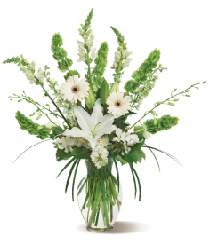 Category Image