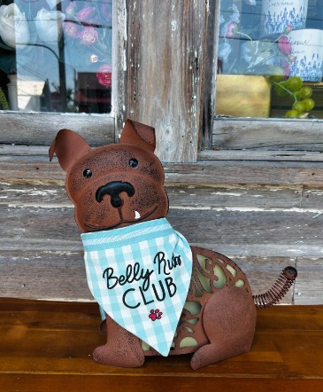 "Belly Rubs Club" Dog Bandana  One Size Fits Most  in Key West, FL | Petals & Vines