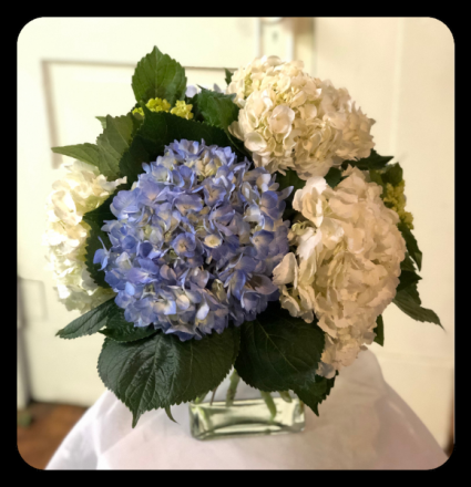 Beloved Hydrangea Bouquet In Bryan Tx Nan S Blossom Shop,Small Bathroom Ideas Pinterest