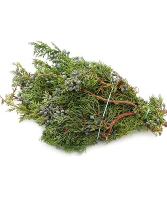 Berried Juniper Bunch