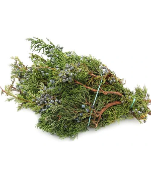 Berried Juniper Bunch 