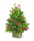 Berries & Cones Boxwood Tree Flower Arrangement