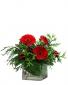 Berry and Bright Arrangement