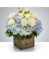 Berry Blues and White 