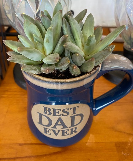 Best Dad