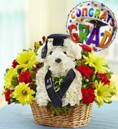 Best In Class a-DOG-able
