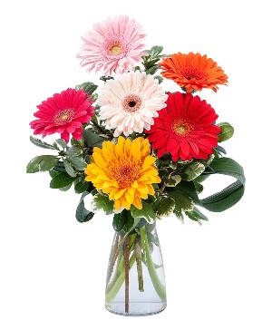 Have an amazing day  