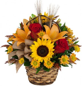 BEST Of FALL
