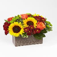 Best of the season wooden planter with a dark stain