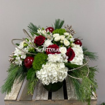 Best Time Of The Year  in Etobicoke, ON | THE POTTY PLANTER FLORIST