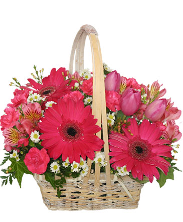Best Wishes Basket of Fresh Flowers in Canon City, CO | TOUCH OF LOVE FLORIST AND WEDDINGS