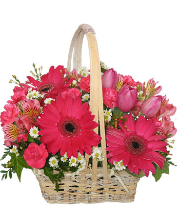 Best Wishes Basket of Fresh Flowers in Ketchum, ID | Primavera Plants & Flowers