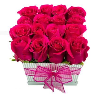 Best Wishes Hot Pink Roses 