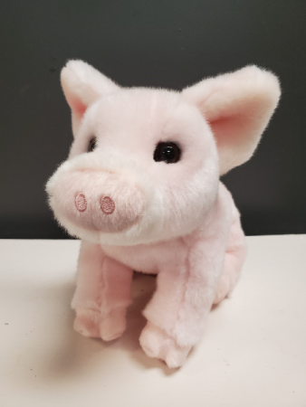 Betina the Pig 10
