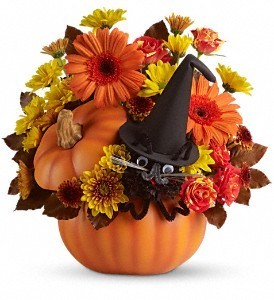 Bewitched Cat Bouquet