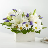 Beyond Blue Box Bouquet 
