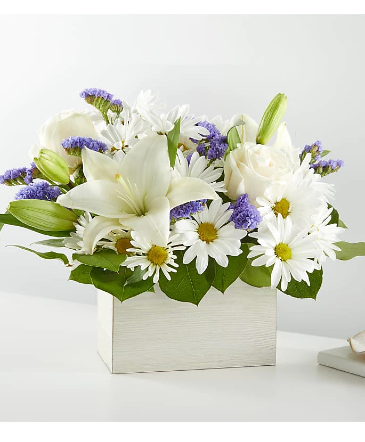 Beyond Blue Box CNB Floral Arrangement in Fort Worth, TX | DARLA'S FLORIST