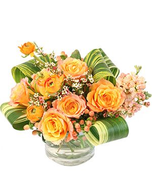 Flower Shop Valdosta | Florist in Valdosta, GA | Beautiful Flowers