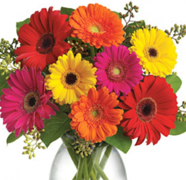 Mixed colored Gerberas Daisies arranged in a Vase With seasonal filler...color gerberas may vary