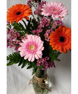 Gerbera Brights...different colored gerberas in  A vase with filler (seasonal) gerbera colors may vary