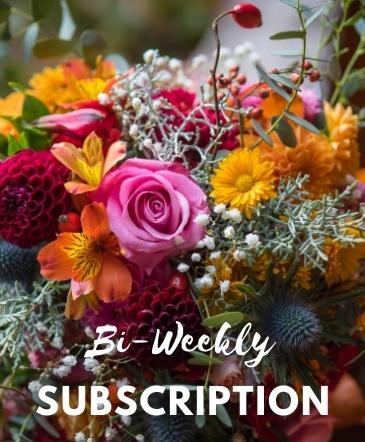 Bi-Weekly Subscription 