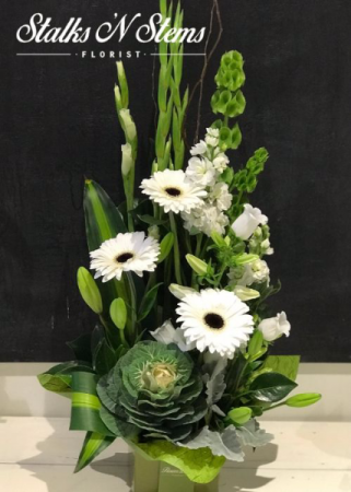 Bianca Arrangement