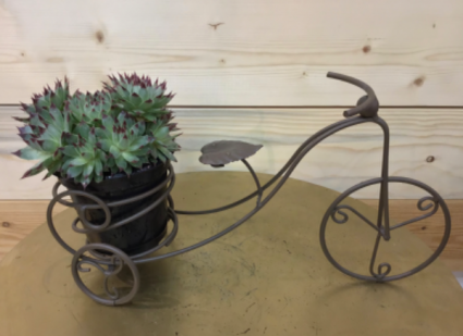 Bicycle & Blooms, currently sold out