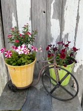 Bicycle Planter Outdoor Planter