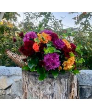 Big Autumn Cornucopia  