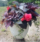 Big Beautiful  Planter 