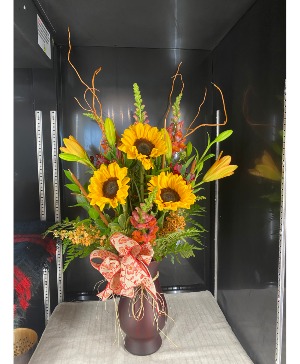 Big Beauty  Sun flower mix 