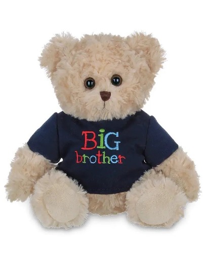 Big Brother Bear PLUSH