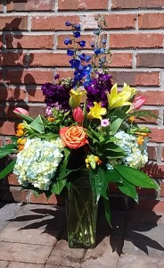 Big Hugs in Melbourne, FL | VIOLETS IN BLOOM Big Hugs in Melbourne, FL | VIOLETS IN BLOOM