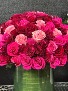 Rose Grandure Symphony (100 Roses) 