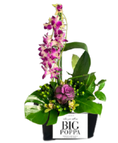 "Big Poppa" Tropical Arrangement  