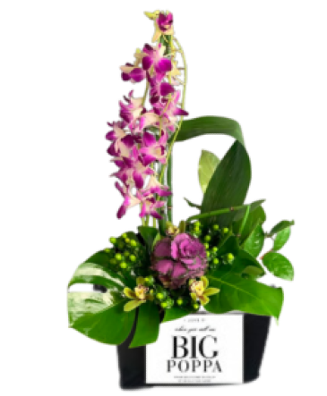"Big Poppa" Tropical Arrangement in Laurel, MD | The Blooming Bohemian "Big Poppa" Tropical Arrangement in Laurel, MD | The Blooming Bohemian