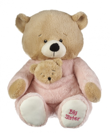 big sister teddy bear mothercare