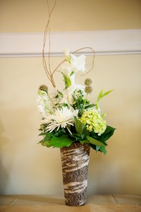 Birch Pots