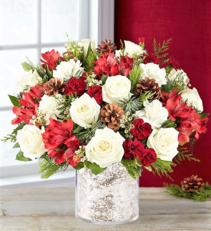 Birch Woods Christmas, Regenerate into 2021 Birches Are Regenerative, call for an actual Birch Bark Container in Gainesville, FL | PRANGE'S FLORIST Birch Woods Christmas, Regenerate into 2021 Birches Are Regenerative, call for an actual Birch Bark Container in Gainesville, FL | PRANGE'S FLORIST
