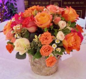 Birch Woods Garden: Roses & More In Birch Bark Container in Gainesville, FL | PRANGE'S FLORIST Birch Woods Garden: Roses & More In Birch Bark Container in Gainesville, FL | PRANGE'S FLORIST