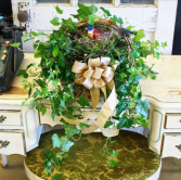 Bird and Ivy Basket Plant