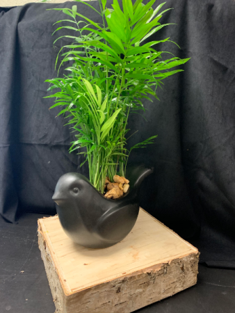 Bird arrangement green plant