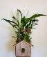 Bird House Garden 