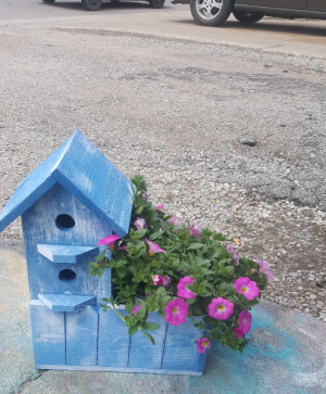 Bird House with Annual OUTDOOR PLANT