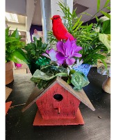 Bird House with Plant Cyclamen Plant