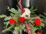 Bird Lovers Decor Christmas