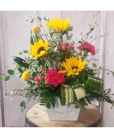 Bird of Happiness in Nashville, AR | PICALILY FLOWERS & GIFTS Bird of Happiness in Nashville, AR | PICALILY FLOWERS & GIFTS