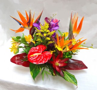 Bird of Paradise and Antherium  Enchanted Florist Special Design