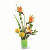 Bird of Paradise Tropical Look Tropical Arrangement