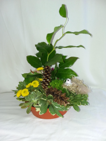 Bird Song Design Tray